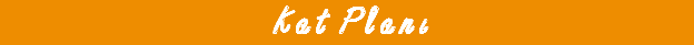 Kat Planı